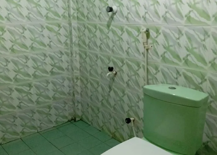 Nma Holiday Inn 6